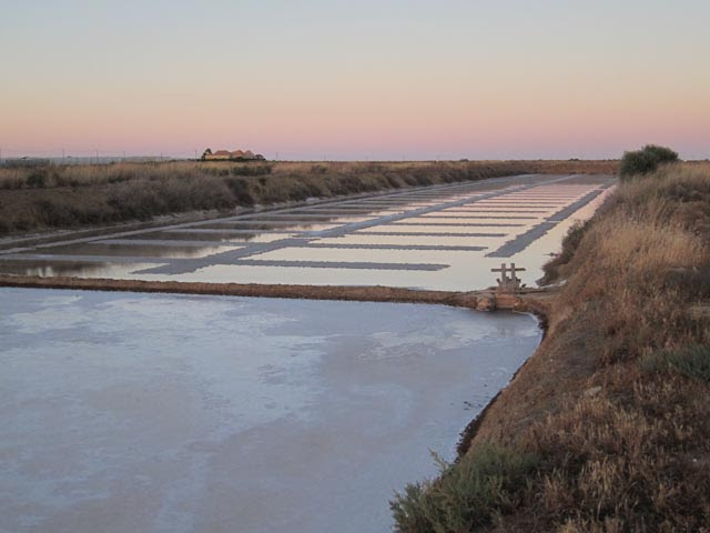 Tavira salt pans