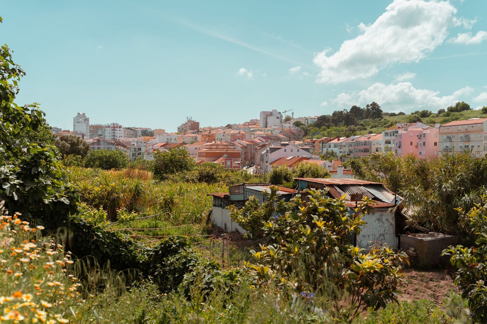 Loulé