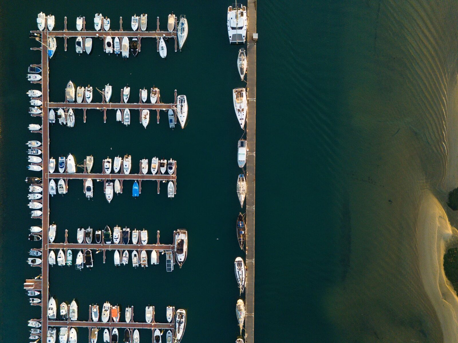 Ria Formosa boat tour